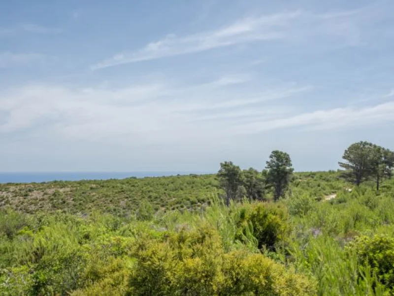 Landwirtschaftliches Grundstück mit Meerblick in Jávea, in der Nähe von Montgó