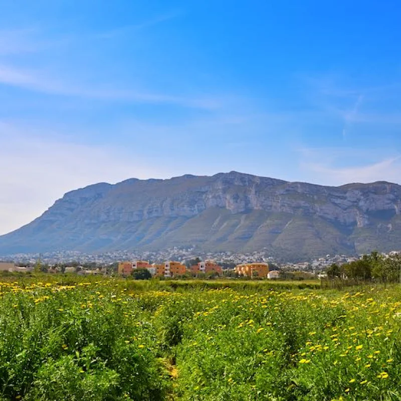 Immobilien in Dénia Montgó | Kaufen und Bauen