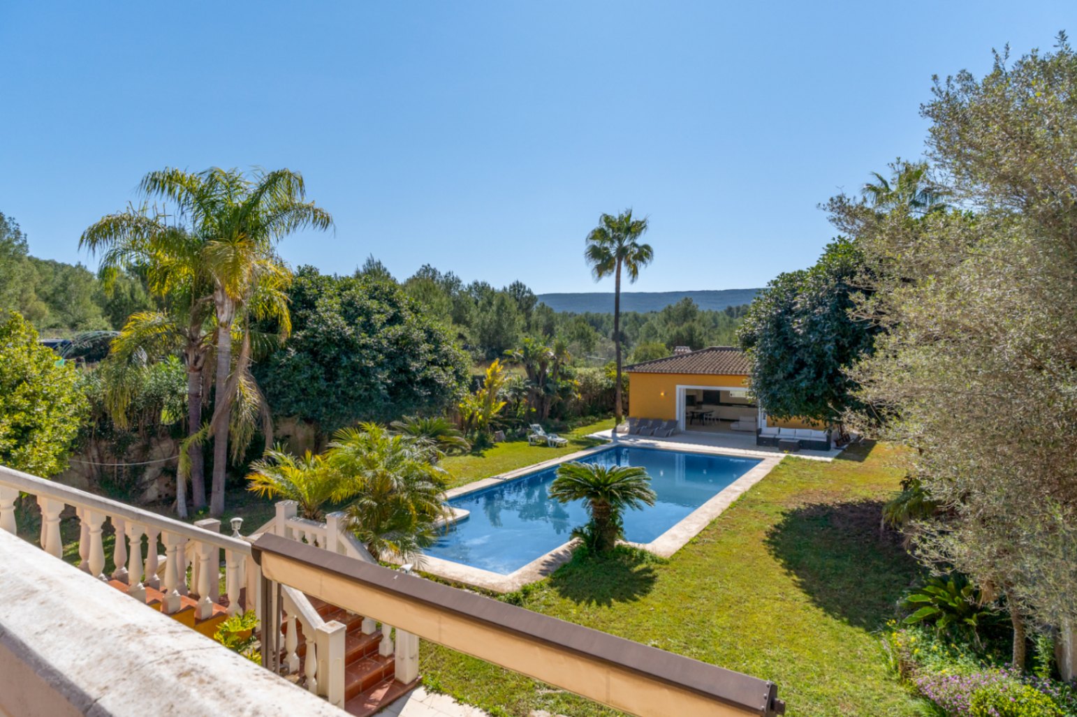 Erhöhter Blick auf den mediterranen Garten mit 15x6m Pool, Palmen und einem separaten Nebengebäude, eingebettet in eine ruhige, naturbelassene Umgebung.