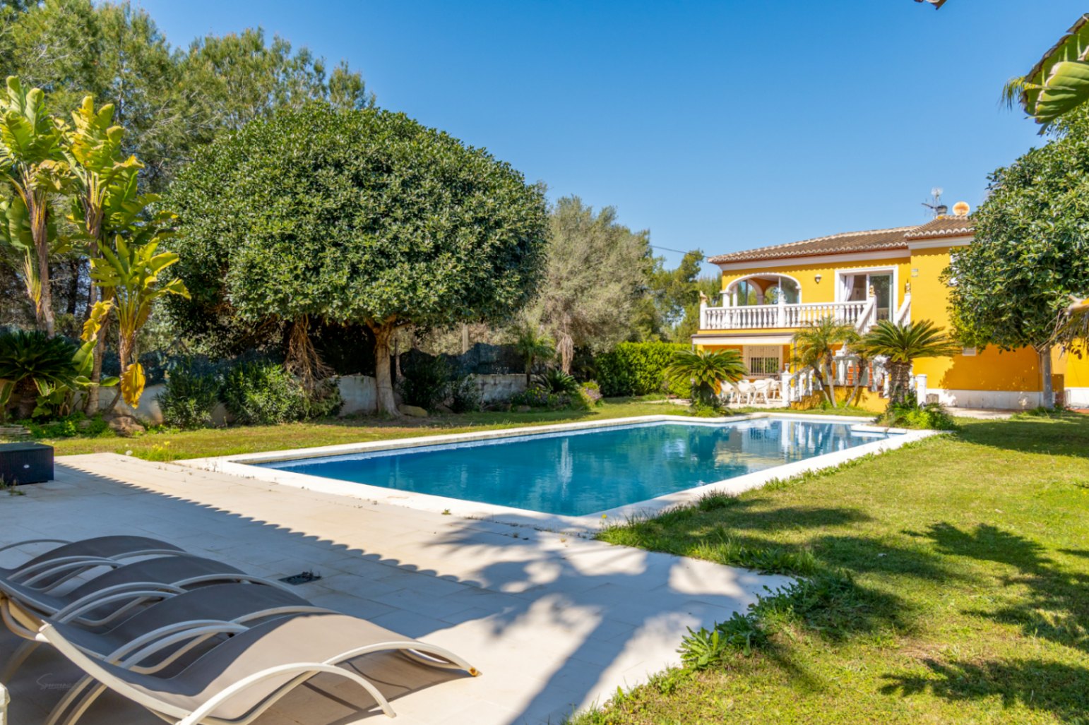 Großer 15x6m Pool eingebettet in eine flache Rasenfläche, mit Blick auf die gelbe Villa mit weißen Balustraden und mediterraner Bepflanzung.