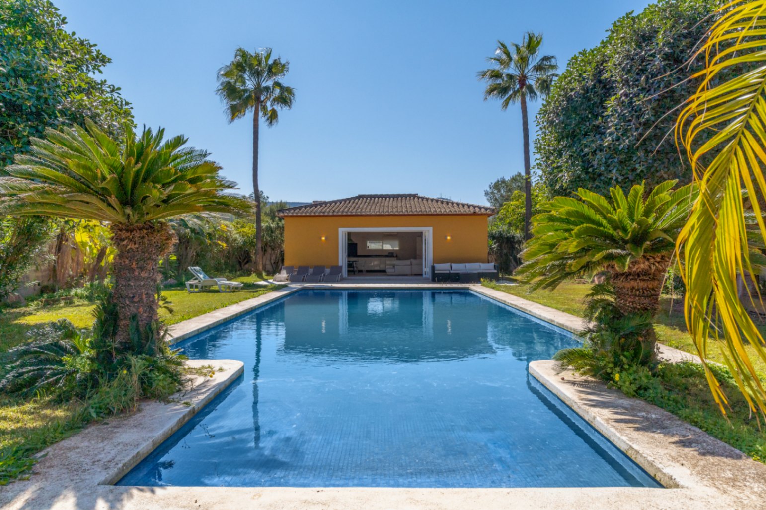 Großzügiger 15x6 m Pool inmitten eines flachen Gartens mit Palmen, angrenzend an ein 67 m² großes Poolhaus mit überdachtem Grillbereich.