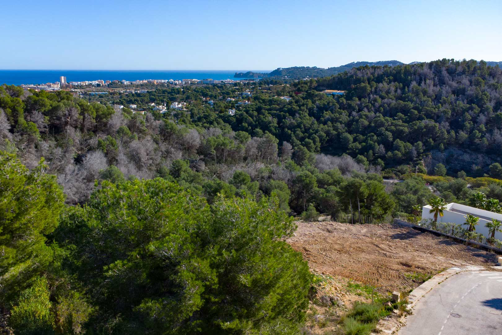 Panoramablick auf das Mittelmeer und den umliegenden Pinienwald von der erhöhten Lage des Grundstücks mit der Küstenstadt am Horizont.