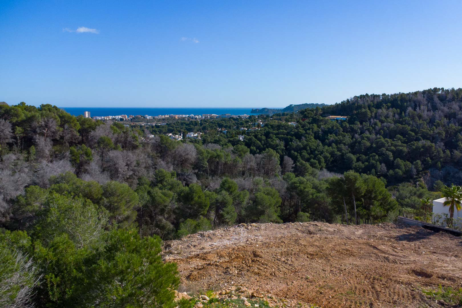 Panoramablick vom erhöhten Grundstück auf das Mittelmeer, umgeben von einem dichten Pinienwald und der Küstenlinie am Horizont.