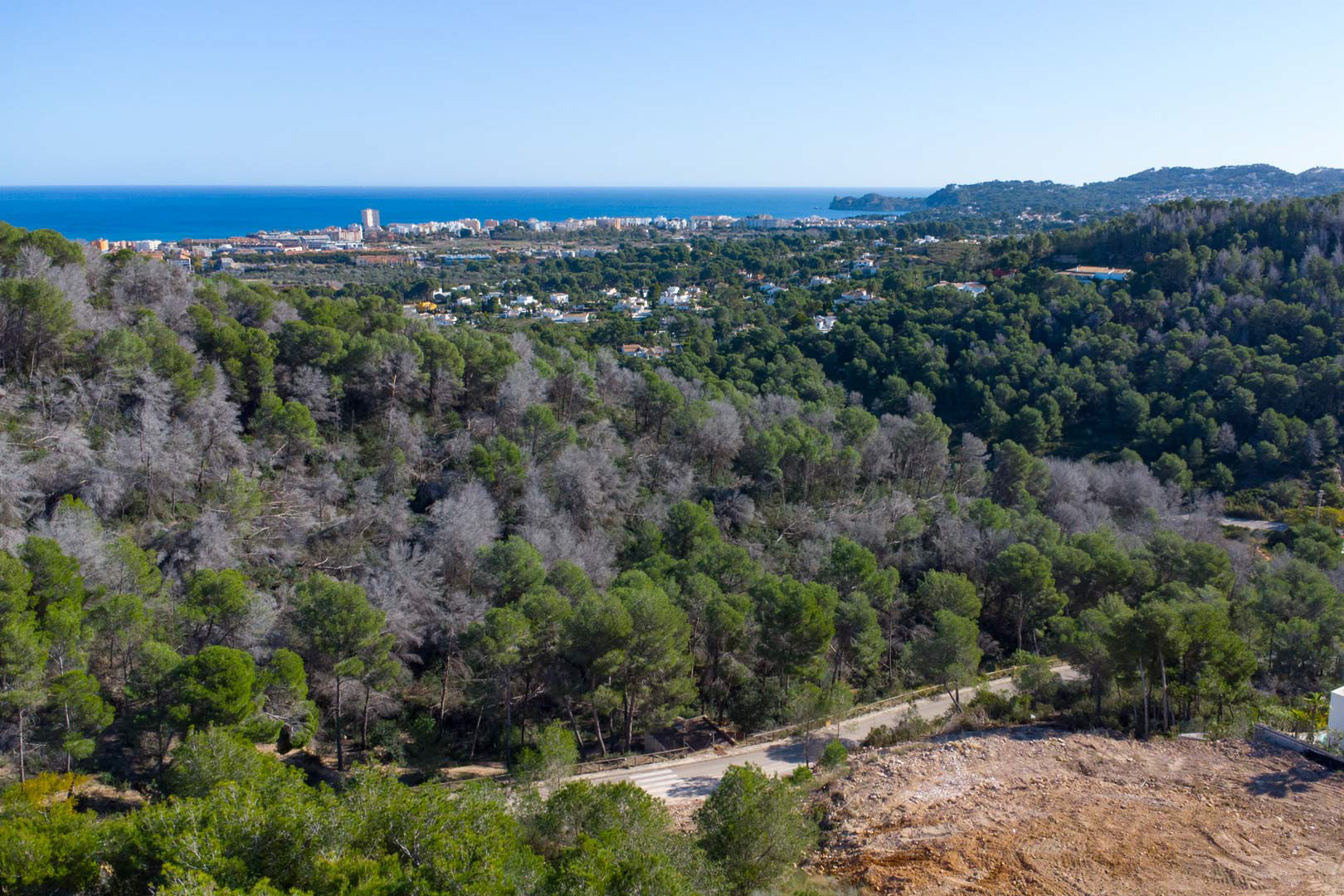 Panoramablick vom erhöhten Grundstück auf das Mittelmeer, umgeben von einem Pinienwald mit der Küstenstadt im Hintergrund.