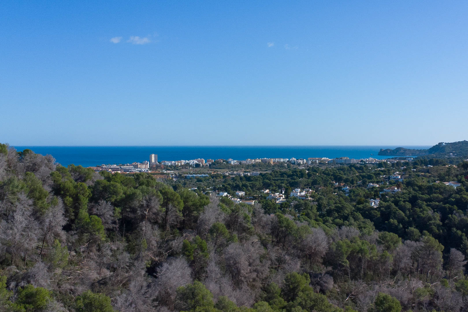Panoramablick vom Grundstück auf das Mittelmeer und die Küstenstadt, eingebettet in einen dichten Pinienwald unter klarem blauem Himmel.