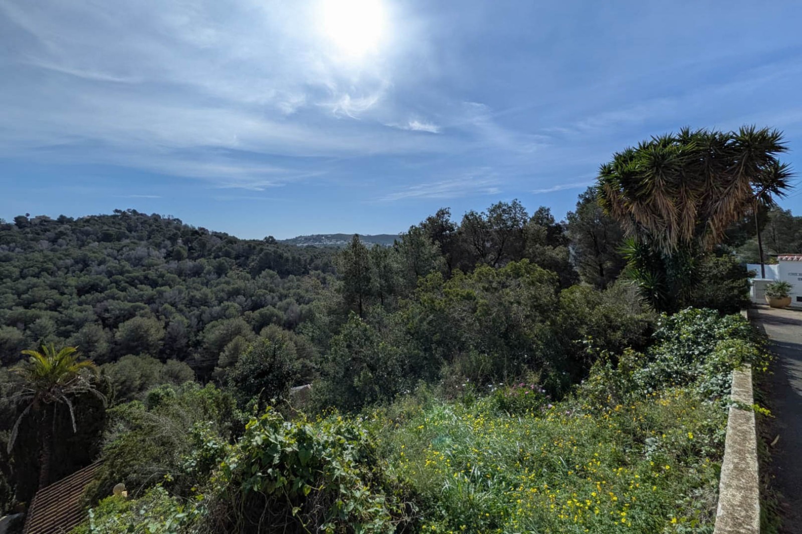 Panoramablick vom erhöhten Grundstück auf die bewaldeten Hügel und das Mittelmeer am Horizont, eingebettet in natürliche mediterrane Vegetation.