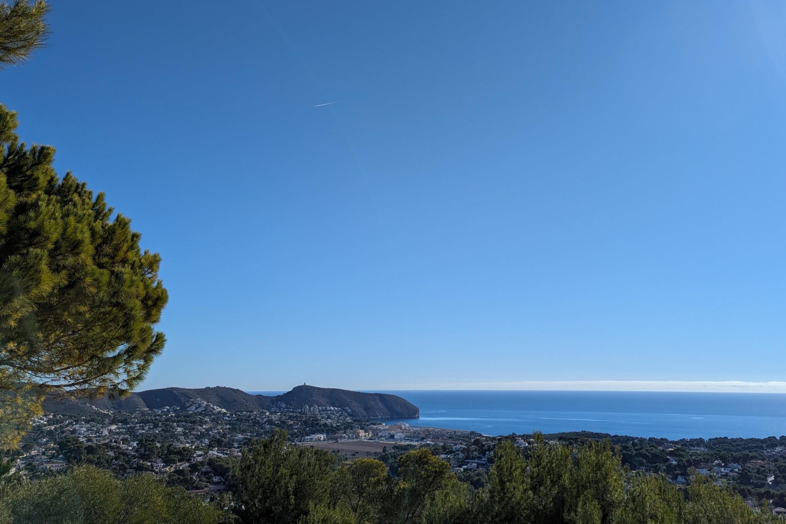 Erhöhter Panoramablick auf die Küste von Moraira und das Mittelmeer, eingerahmt von einheimischen Pinien unter einem klaren blauen Himmel.