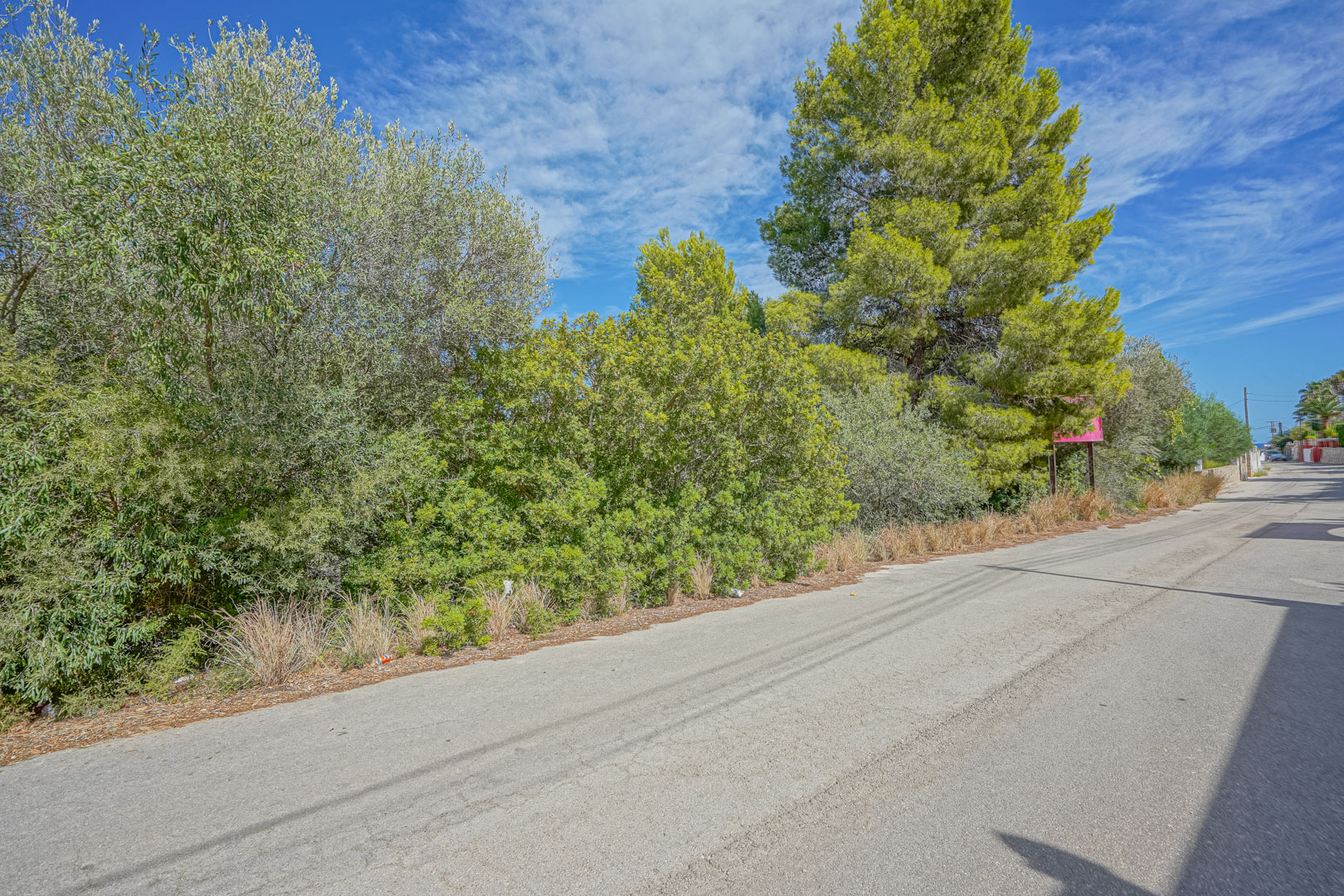 Straßenansicht der Grundstücksgrenze mit dichtem mediterranem Bewuchs und hohen Pinien an einer befestigten Wohnstraße in Benissa.