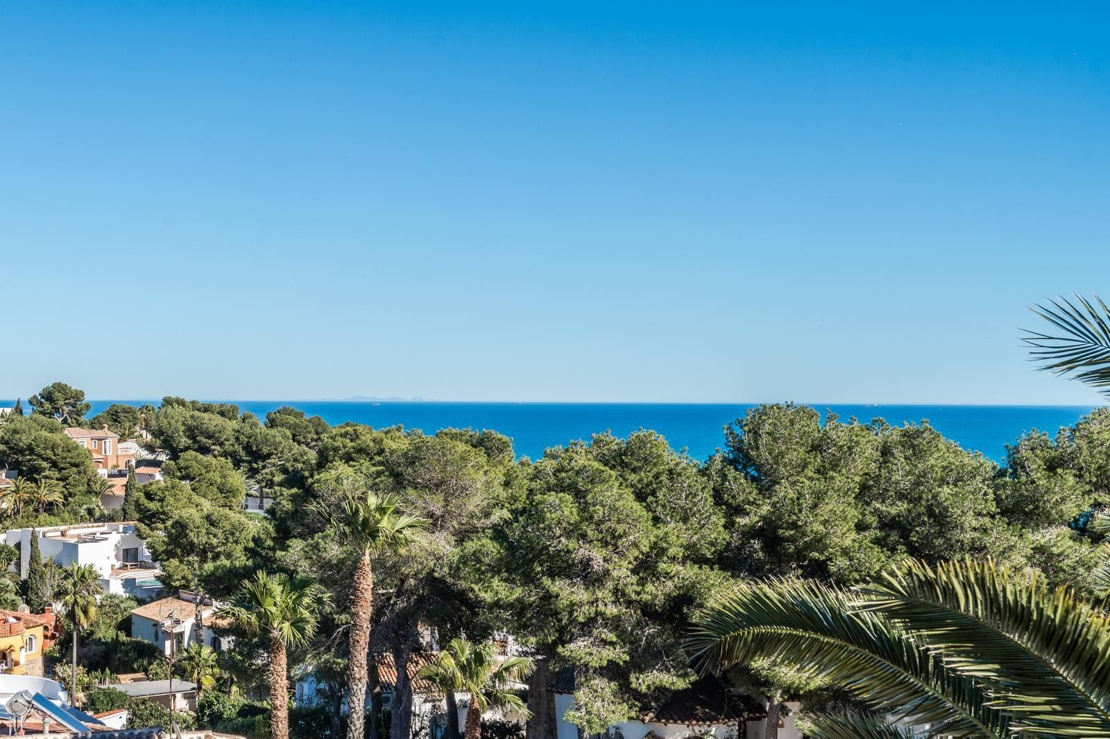 Panoramablick auf das Mittelmeer über einen dichten Bestand an Pinien und Palmen von der erhöhten Lage in Balcón al Mar, Jávea.