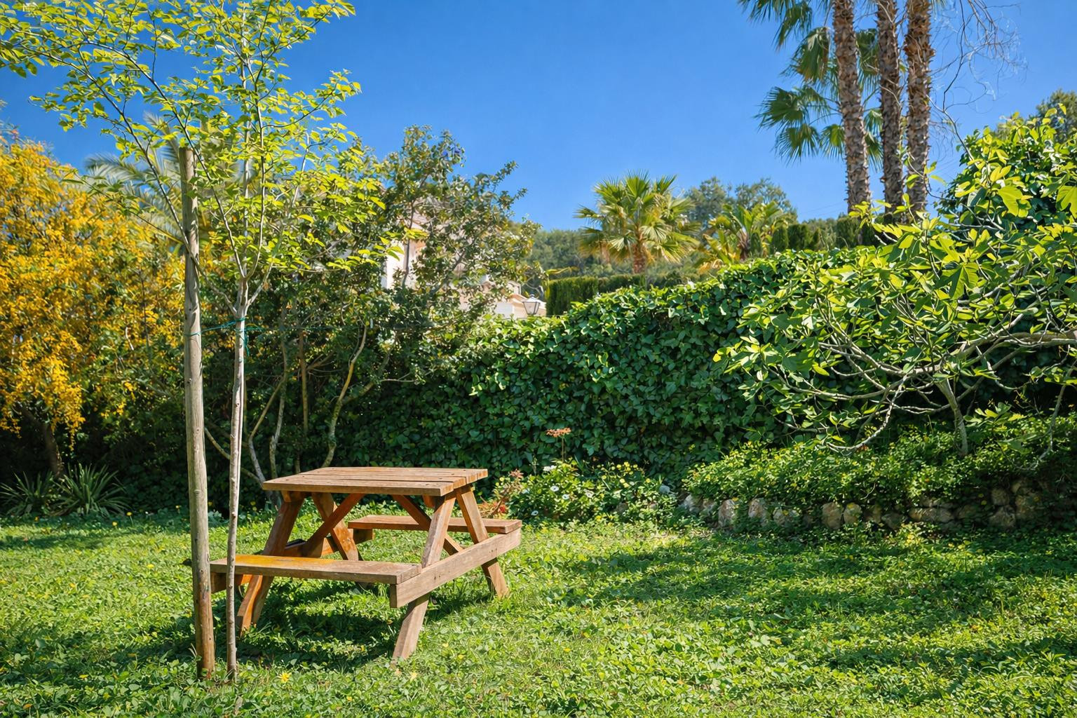 Gartenbereich mit Naturrasen und Picknicktisch aus Holz, umgeben von einer dichten Hecke und Palmen für eine private Atmosphäre.