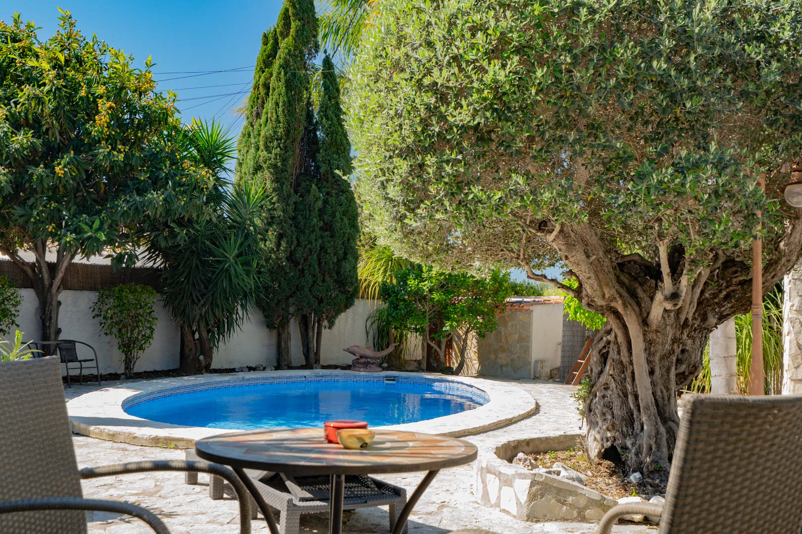 Mediterraner Garten mit kreisförmigem Pool, Natursteinpflaster und altem Baumbestand, darunter ein markanter Olivenbaum und hohe Zypressen.