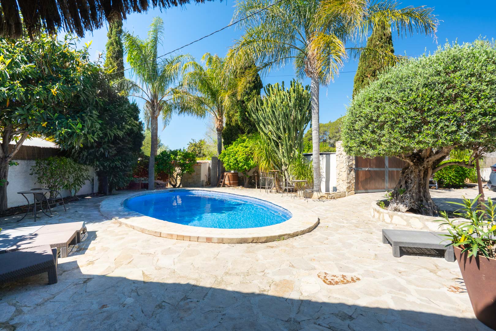 Ovaler Swimmingpool auf einer Natursteinterrasse, umgeben von einem mediterranen Garten mit Palmen, einem Olivenbaum und Kakteen.