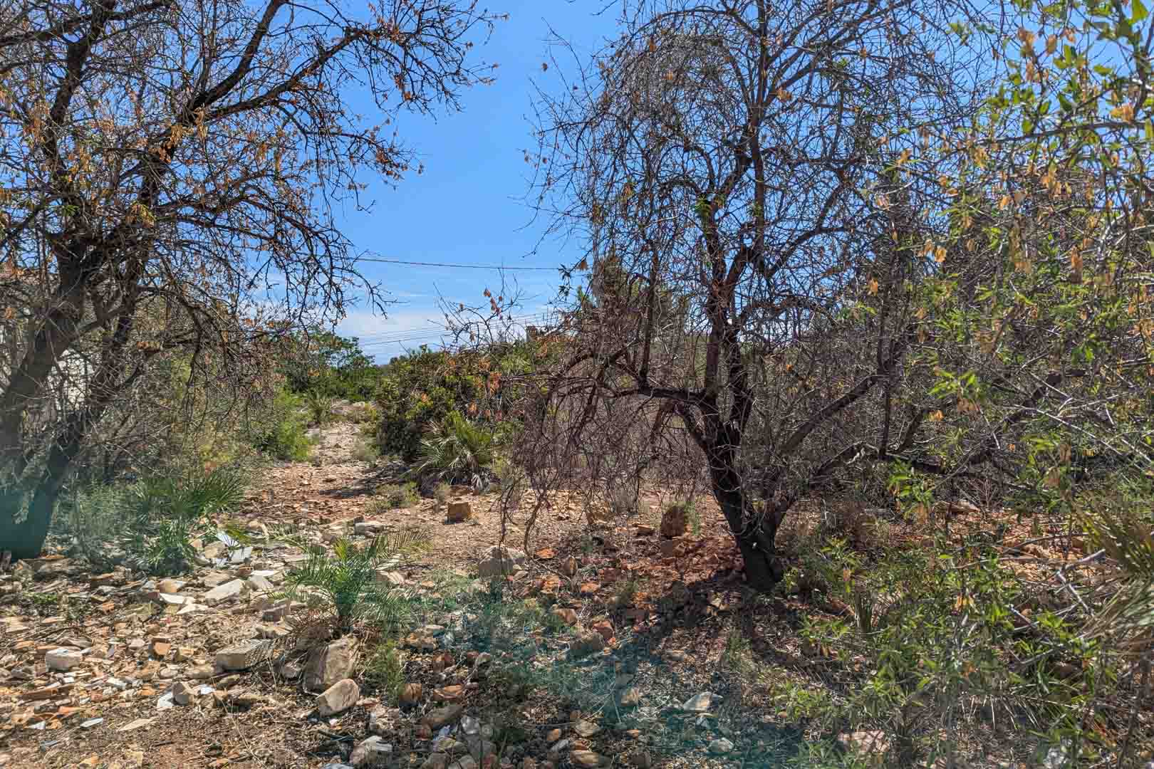 Ansicht des Naturgrundstücks mit einheimischer Vegetation und steinigem Boden unter blauem Himmel. Das Areal umfasst alten Baumbestand und Sträucher.