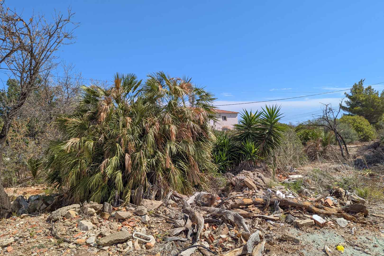 Baugrundstück mit mediterraner Vegetation, darunter Palmen und Yuccas, unter klarem blauem Himmel. Das Gelände zeigt Vorbereitungsspuren und Blick auf benachbarte Häuser.