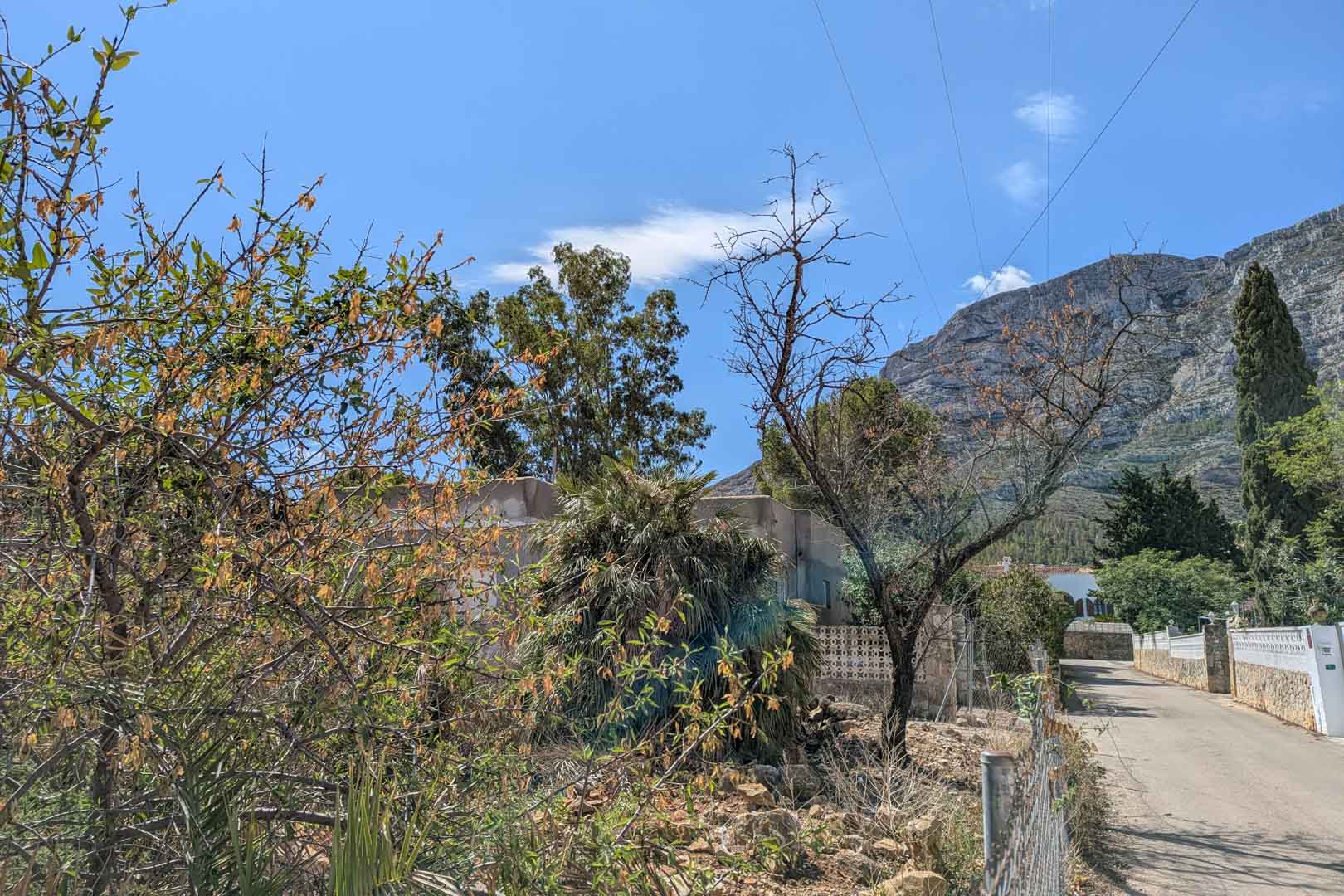 Blick auf das Grundstück mit mediterraner Vegetation und asphaltiertem Zugang, im Hintergrund das markante Montgó-Massiv.