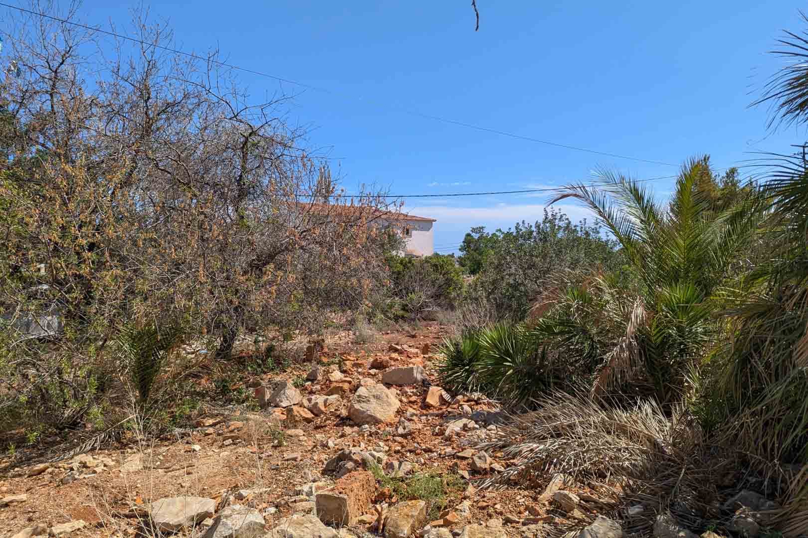 Grundstücksfläche mit felsigem Boden und einheimischer mediterraner Vegetation, die die natürliche Umgebung und die Nähe zu Wohngebäuden zeigt.