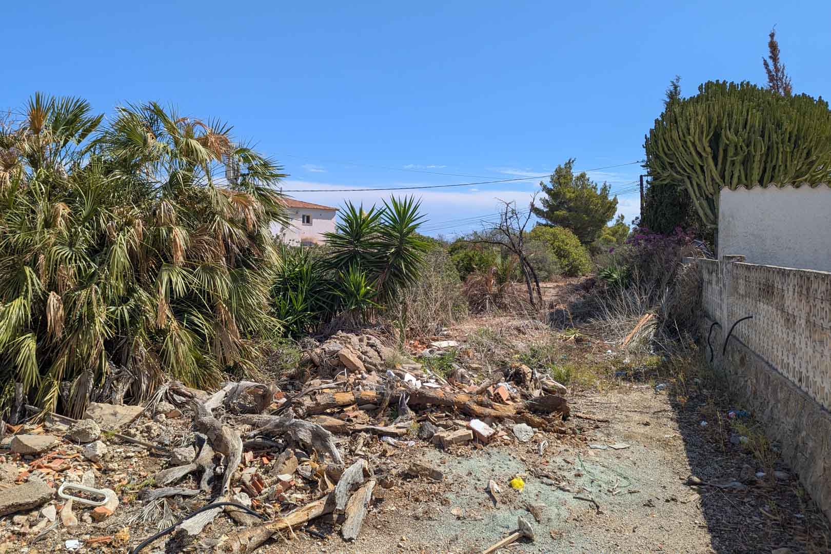 Städtisches Grundstück mit dichter mediterraner Vegetation, Palmen und Holzresten im Vordergrund, begrenzt durch eine Mauer unter blauem Himmel.