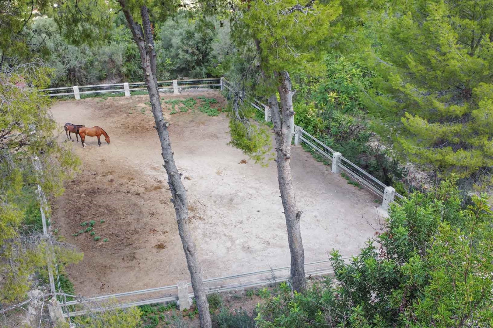 Erhöhte Ansicht der umzäunten Pferdekoppel, umgeben von Pinien, die einen sicheren und schattigen Bereich für die Tierhaltung bietet.