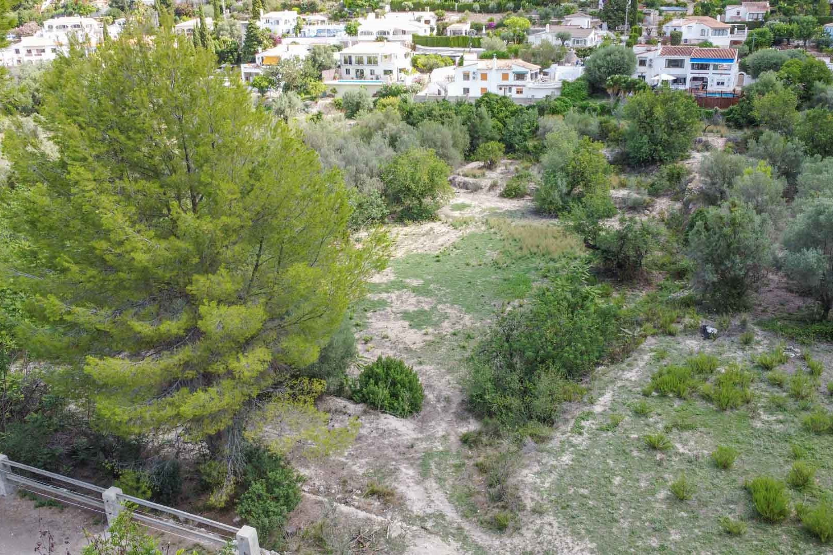 Erhöhte Ansicht des weitläufigen Naturgrundstücks mit altem Kiefernbestand und mediterraner Vegetation in einer ruhigen Wohngegend in Orba.