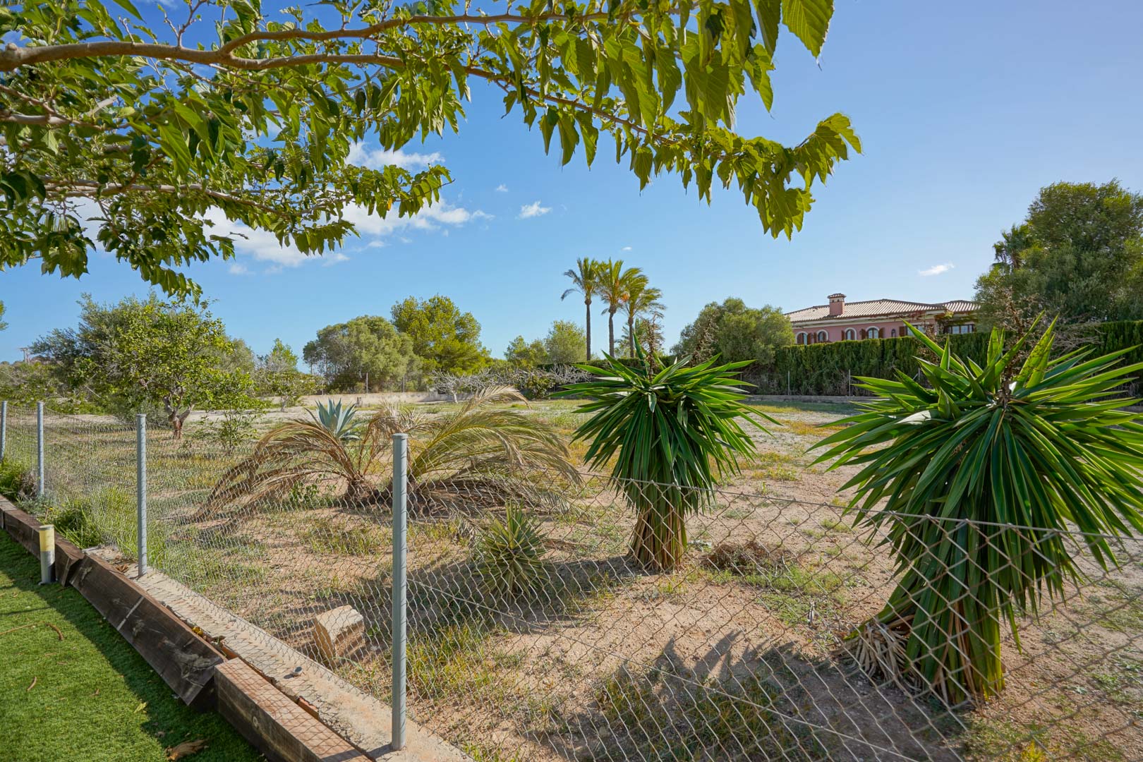 Flaches, 4008 m² großes Grundstück mit mediterraner Bepflanzung wie Yuccas und Palmen, eingefasst von einem Maschendrahtzaun in ruhiger, offener Lage.