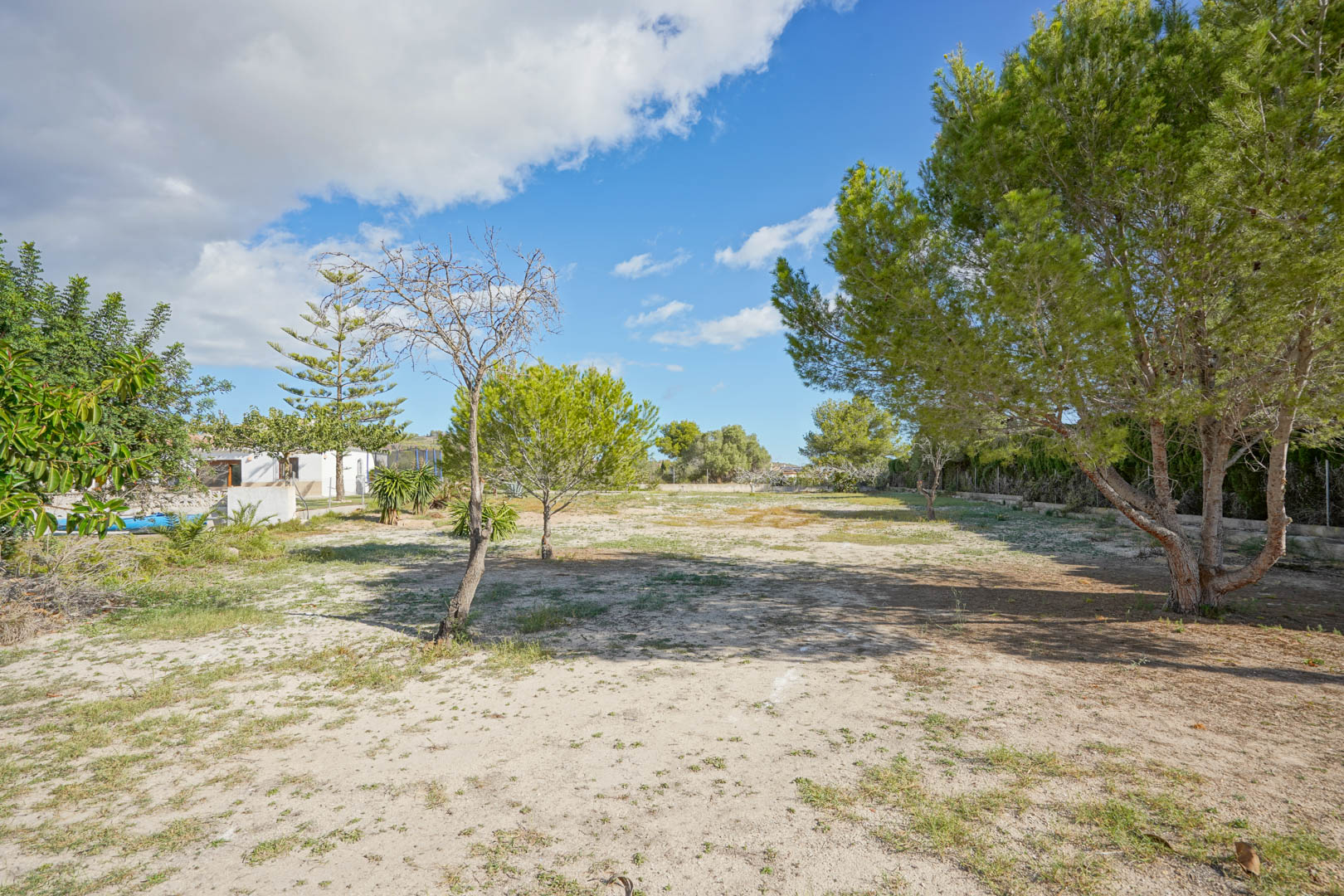 Großzügiges, 4008 m² großes flaches Grundstück mit altem Pinienbestand und mediterraner Bepflanzung, das viel Raum für Privatsphäre und Gestaltung bietet.