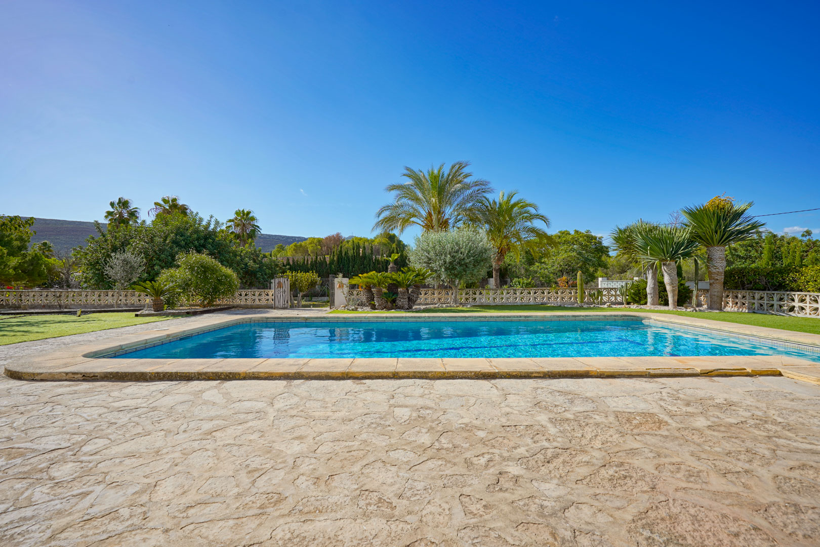 Rechteckiger Swimmingpool mit Natursteinterrasse, umgeben von einem gepflegten Garten mit Palmen und mediterraner Bepflanzung.