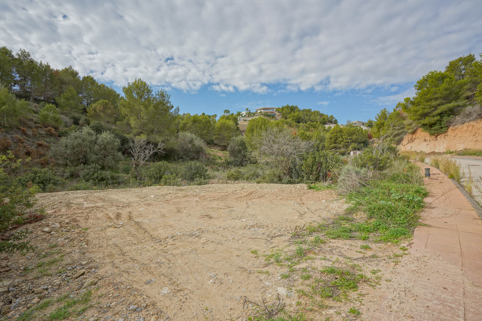 Ansicht des flachen, erschlossenen Baugrundstücks inmitten mediterraner Pinienwälder mit direktem Zugang über eine befestigte Straße in ruhiger Lage.