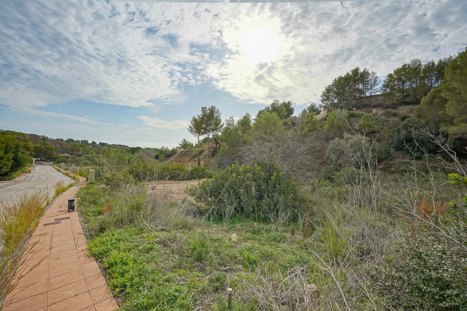 Baugrundstück in einem modernen Wohngebiet mit mediterraner Vegetation und Pinien, inklusive befestigtem Zugang und vorhandener Infrastruktur.