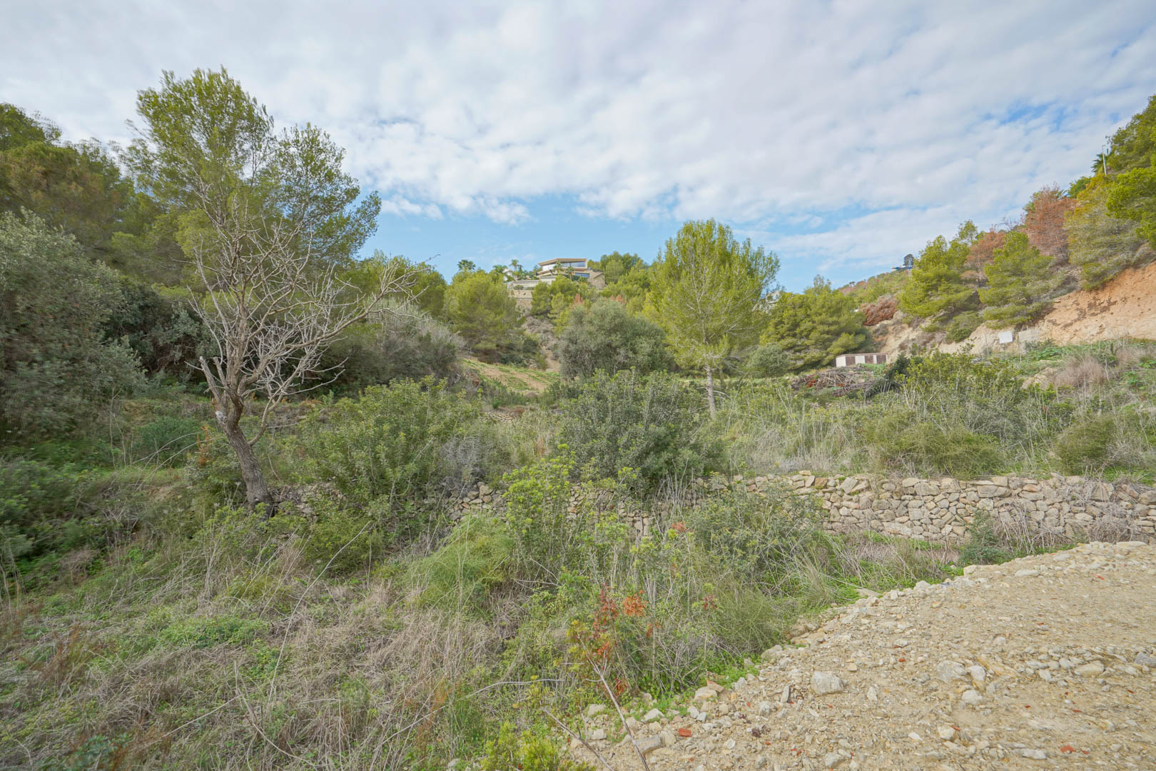 Baugrundstück mit natürlicher mediterraner Vegetation, Trockensteinmauern und Blick auf die umliegenden, mit Pinien bewachsenen Hügel.