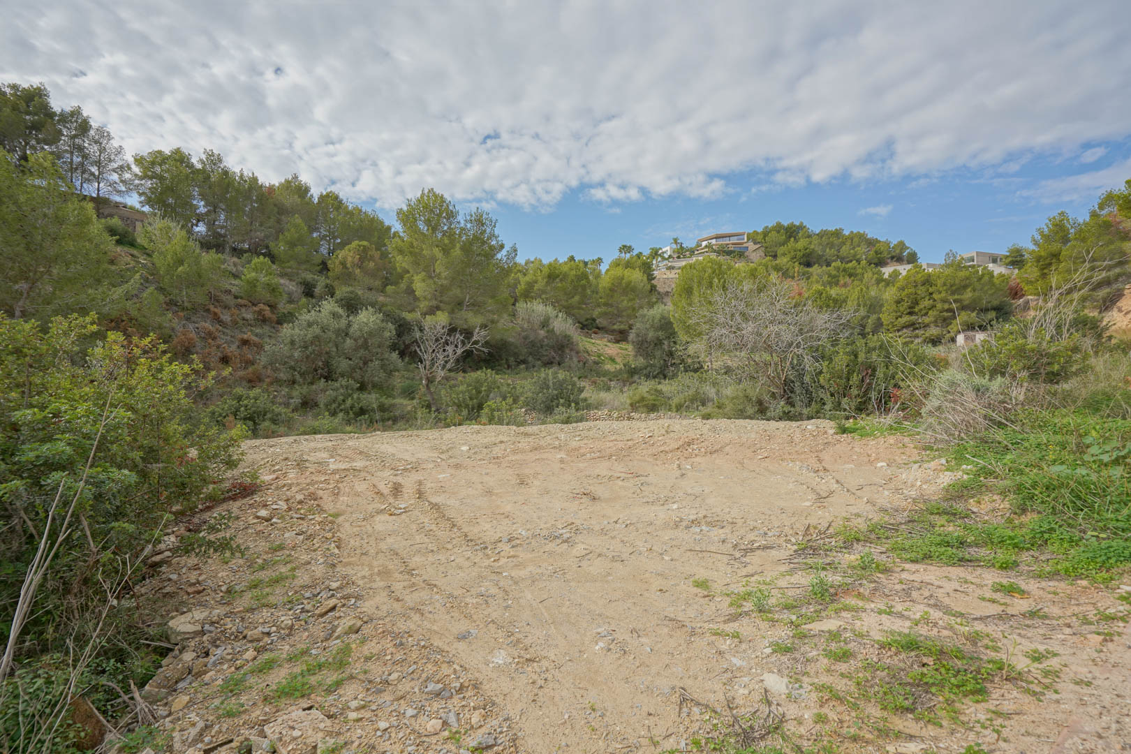 Ebenes, vorbereitetes Baugrundstück inmitten mediterraner Pinien und Vegetation, ideal gelegen für das neue Villenprojekt an der Costa Blanca.