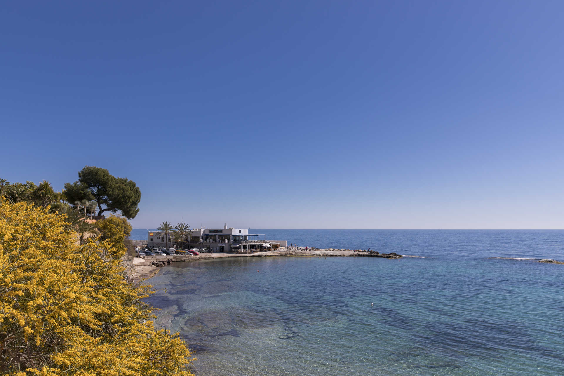 Panoramablick auf die Bucht von La Fustera mit kristallklarem Wasser, mediterraner Flora im Vordergrund und einem Küstenrestaurant unter blauem Himmel.