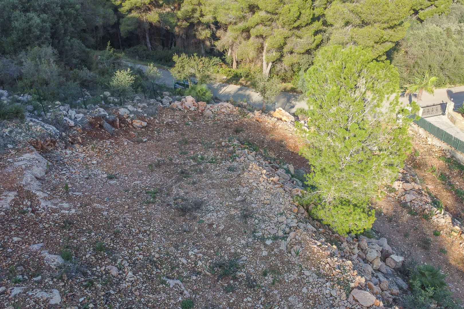 Erhöhte Ansicht des Baugrundstücks mit natürlicher Topographie aus roter Erde und Felsen, umgeben von einem dichten mediterranen Pinienwald.