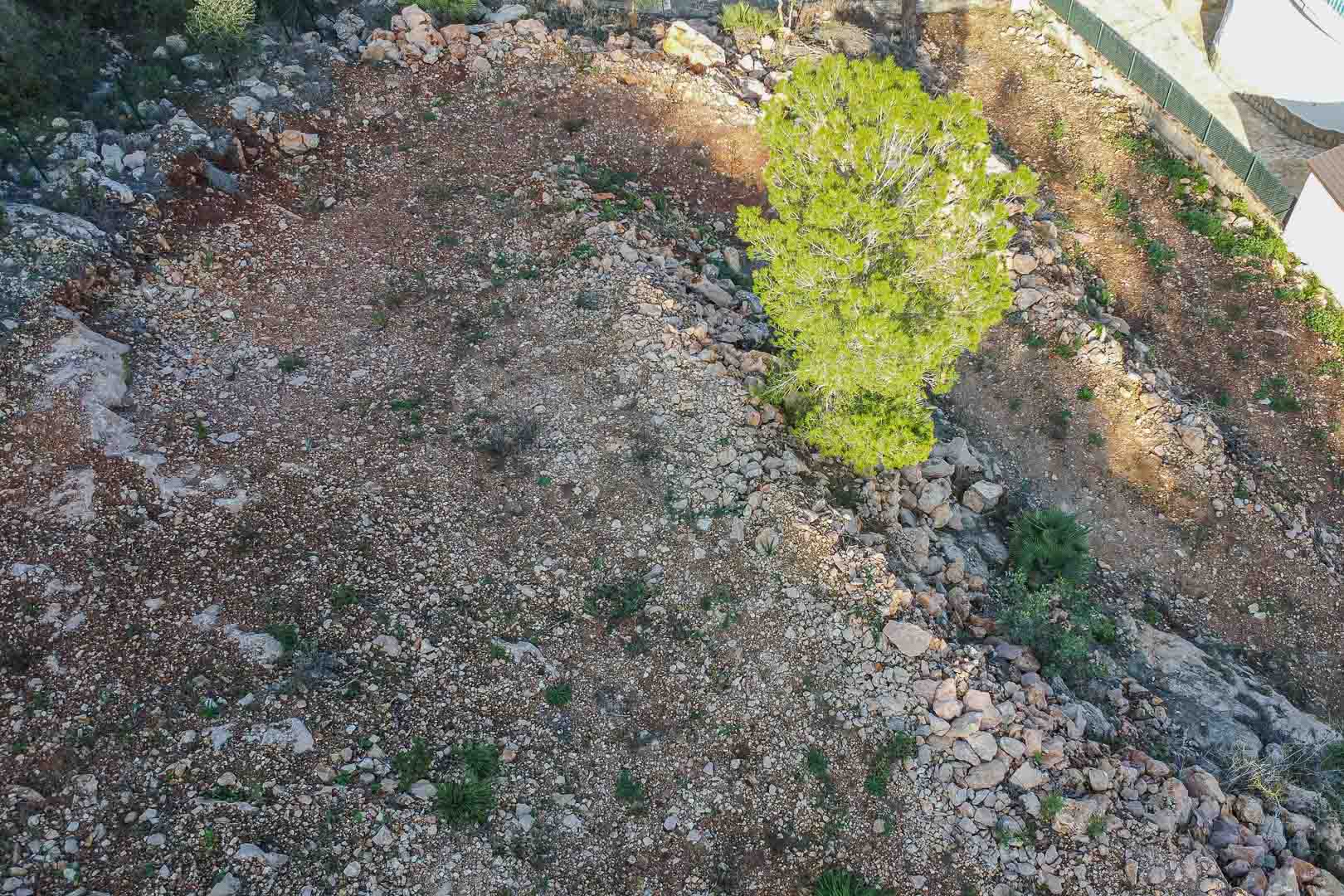 Erhöhte Ansicht des Grundstücks in Montepego mit freigelegtem felsigem Gelände, einer Pinie und natürlichen Steinmauern in ruhiger Lage.