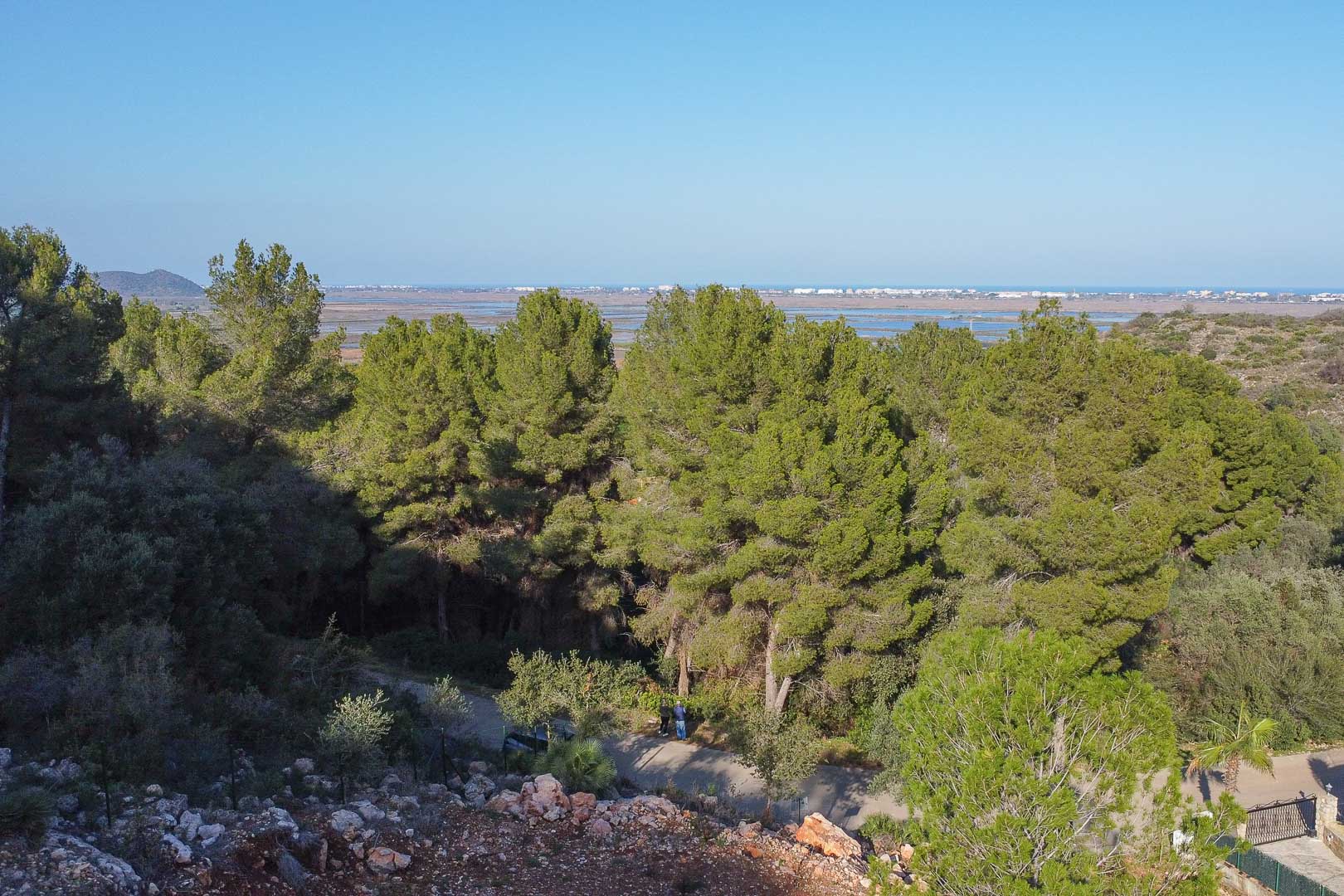 Erhöhter Panoramablick vom Grundstück auf den Naturpark Marjal de Pego und das Mittelmeer, umgeben von dichten Pinien und mediterraner Vegetation.