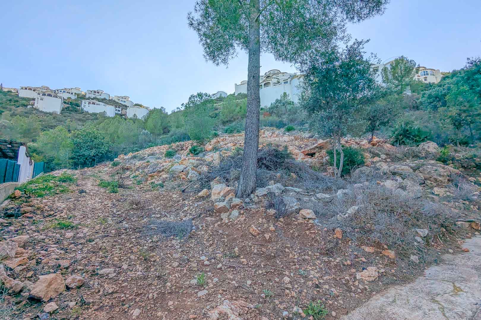 Hanggrundstück in Montepego mit felsigem Untergrund und Pinienbewuchs, umgeben von weißen Villen in erhöhter Wohnlage.