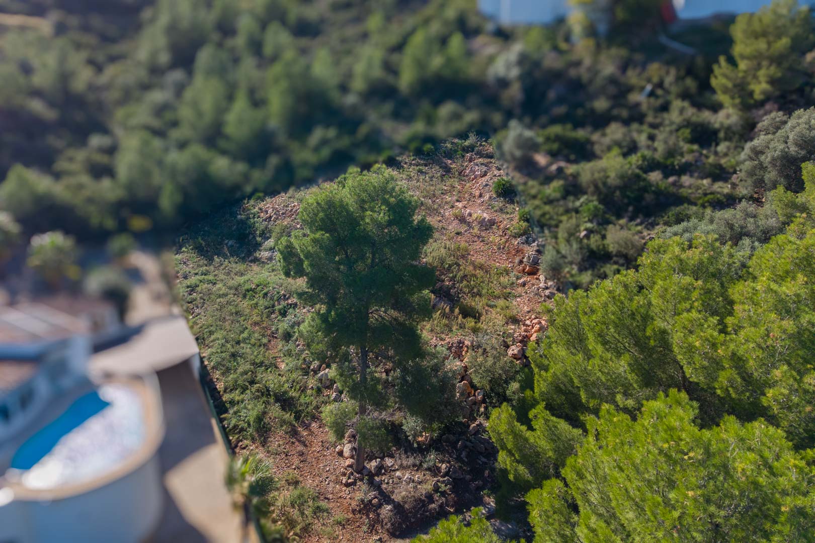 Luftaufnahme des Grundstücks in Montepego, die das Hanggelände mit Pinien und mediterraner Vegetation auf natürlichem, felsigem Untergrund zeigt.