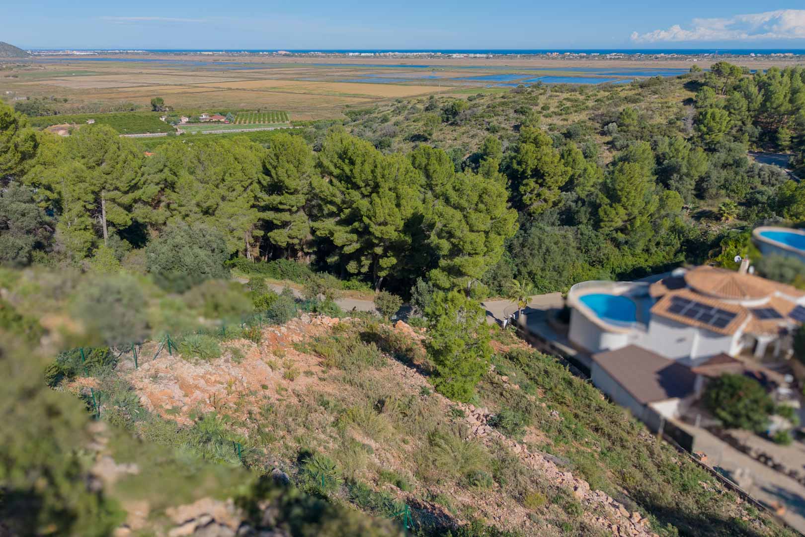 Panoramablick vom erhöhten Grundstück auf den Naturpark Marjal de Pego und das Mittelmeer, umgeben von Pinien und einheimischer Vegetation.