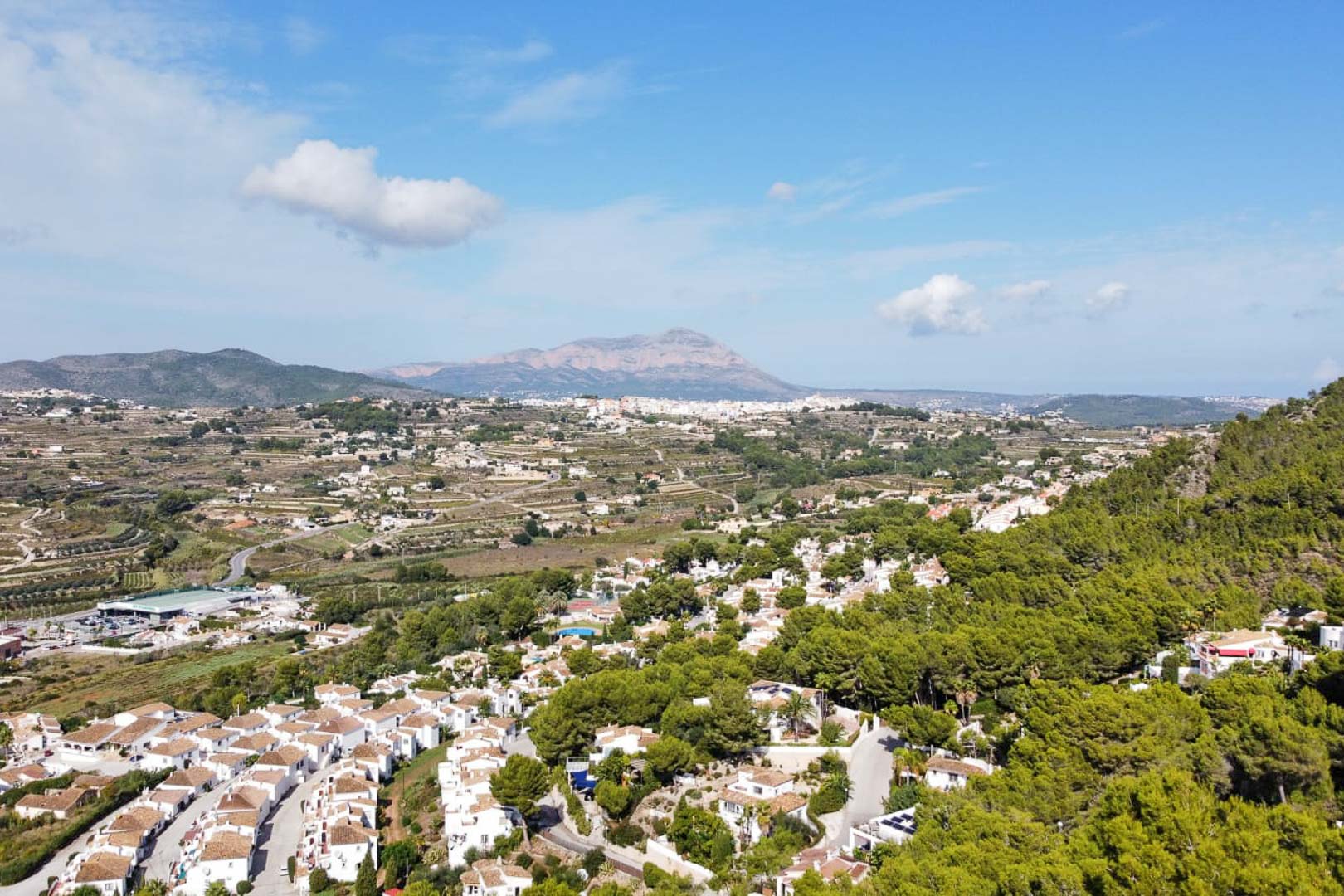 Erhöhter Panoramablick auf mediterrane Pinienwälder und weiße Villen, mit einer markanten Bergsilhouette am Horizont unter einem klaren, blauen Himmel.