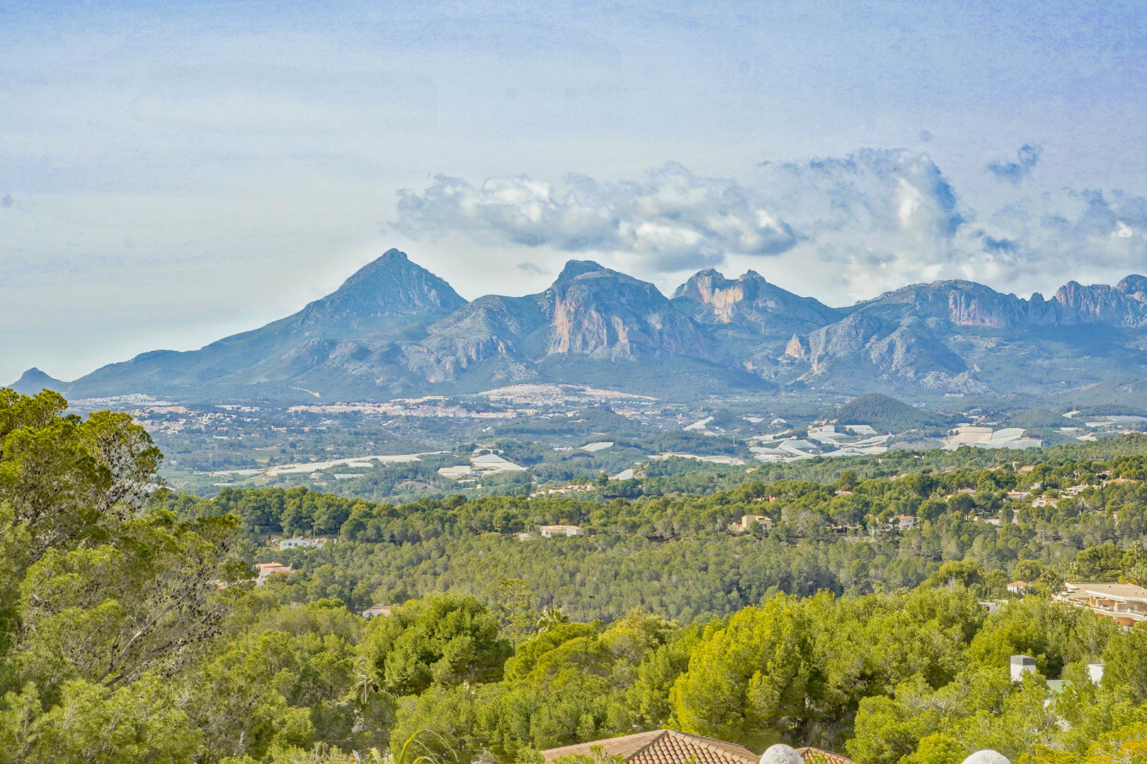 Panoramablick auf die Gebirgszüge Puig Campana und Sierra Aitana, eingebettet in eine dichte Pinienlandschaft und die natürliche Umgebung von Altea.