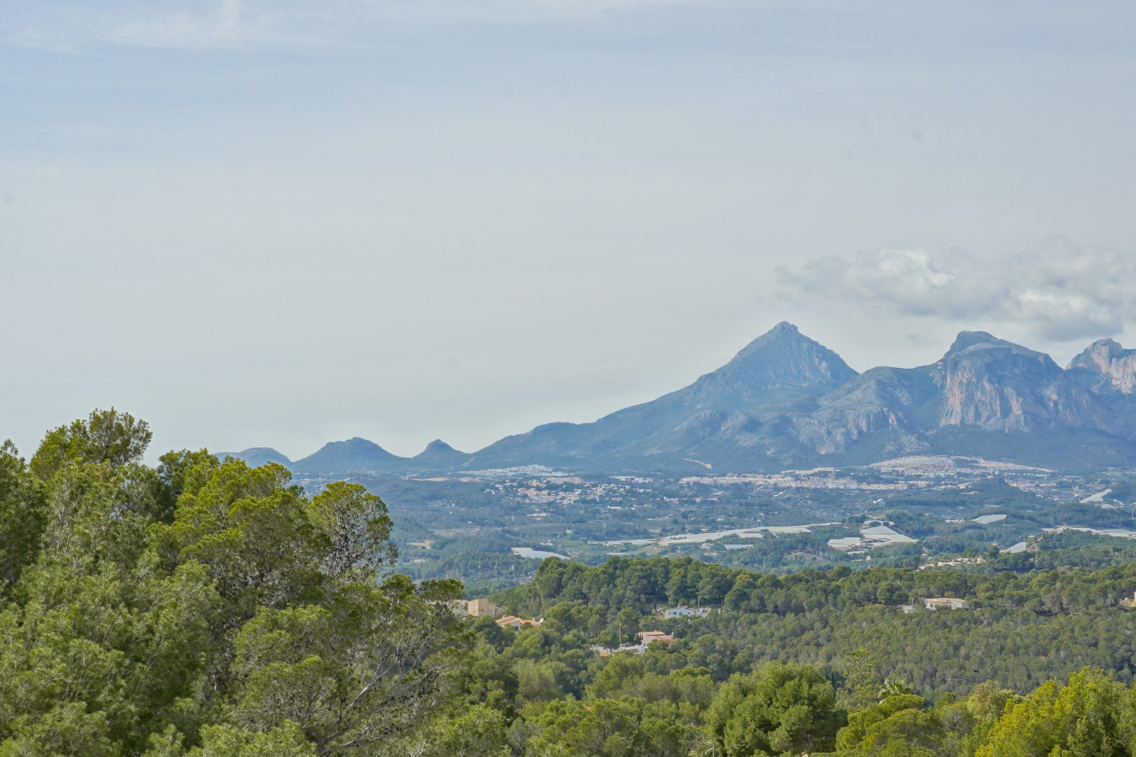 Panoramablick vom Anwesen auf den Puig Campana und die Sierra Aitana, umrahmt von üppigen mediterranen Pinienwäldern.