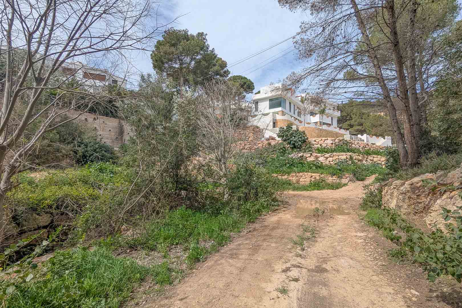 Außenansicht vom Zufahrtsweg mit Blick auf das terrassierte Grundstück mit Natursteinmauern und die erhöht gelegene weiße Villa inmitten von Pinien.