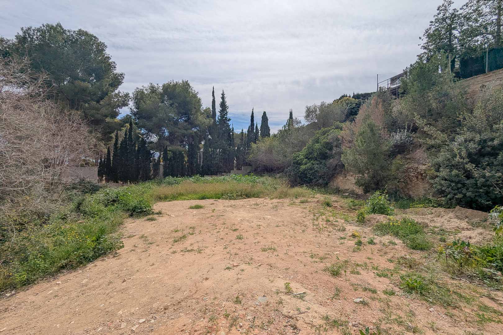 Erhöhtes Baugrundstück in La Corona, umgeben von altem Kiefern- und Zypressenbestand, ideal für die Realisierung eines individuellen Villenprojekts.