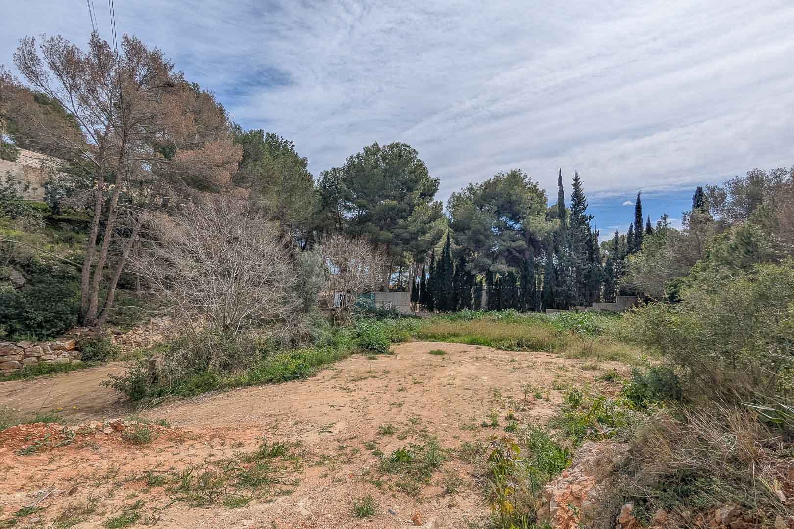 Erhöhtes Baugrundstück in La Corona, umgeben von altem Pinienbestand und natürlicher Vegetation, ideal für die Realisierung einer individuellen Villa.