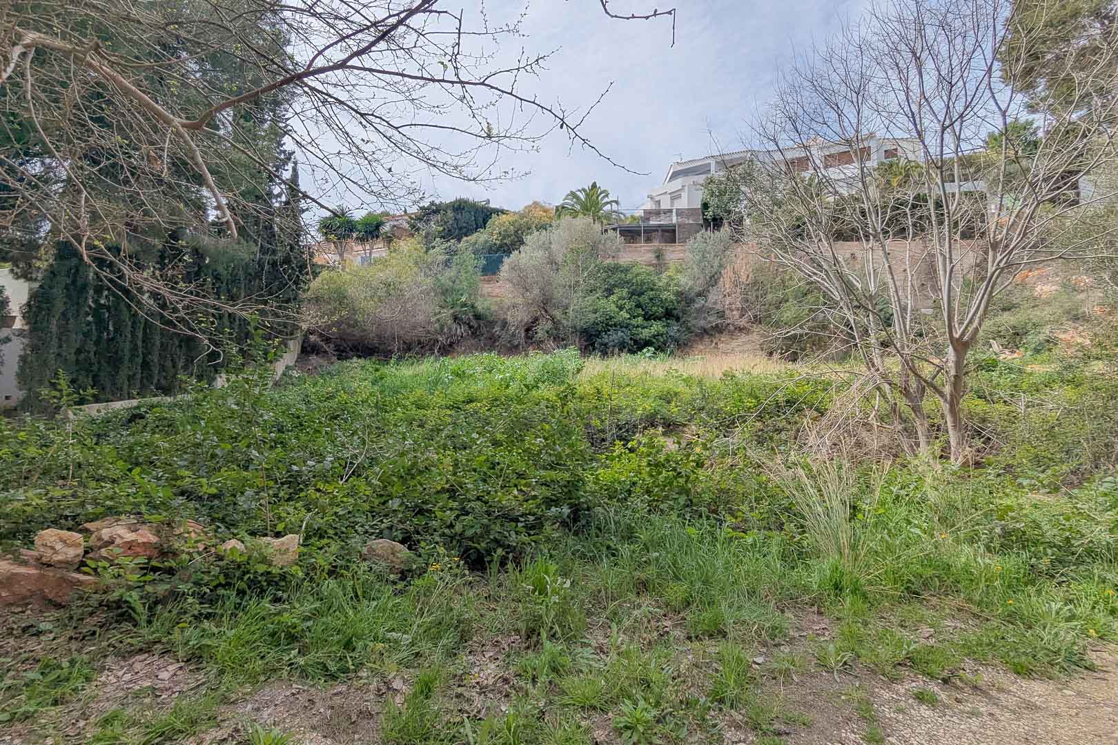 Erhöhtes Baugrundstück mit natürlicher mediterraner Vegetation und altem Baumbestand in einer etablierten Wohngegend mit freiem Blick auf die Umgebung.
