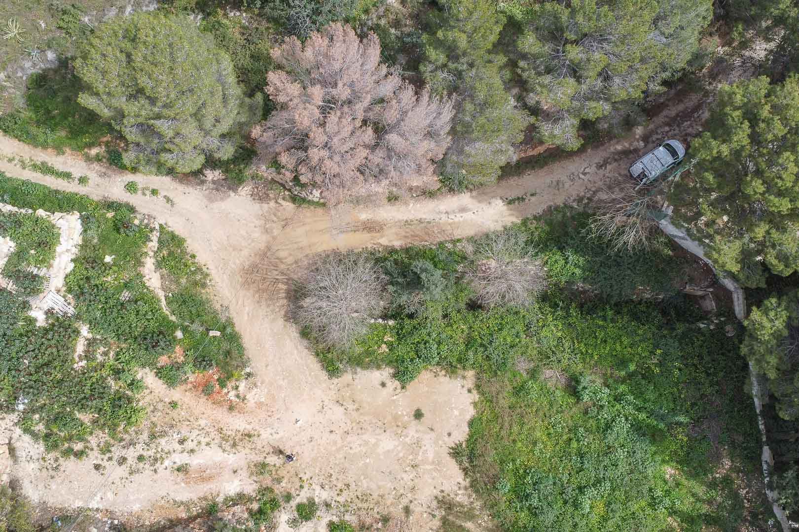 Luftaufnahme des aktuellen Grundstücks in La Corona mit unbefestigten Zufahrtswegen, umgeben von einheimischer mediterraner Vegetation und Pinien.