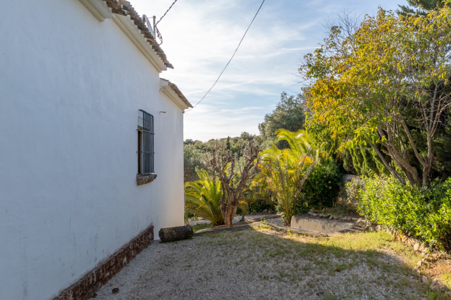 Weiße Seitenfassade mit traditionell vergittertem Fenster, eingebettet in einen Garten mit Palmen und gewachsener mediterraner Vegetation.
