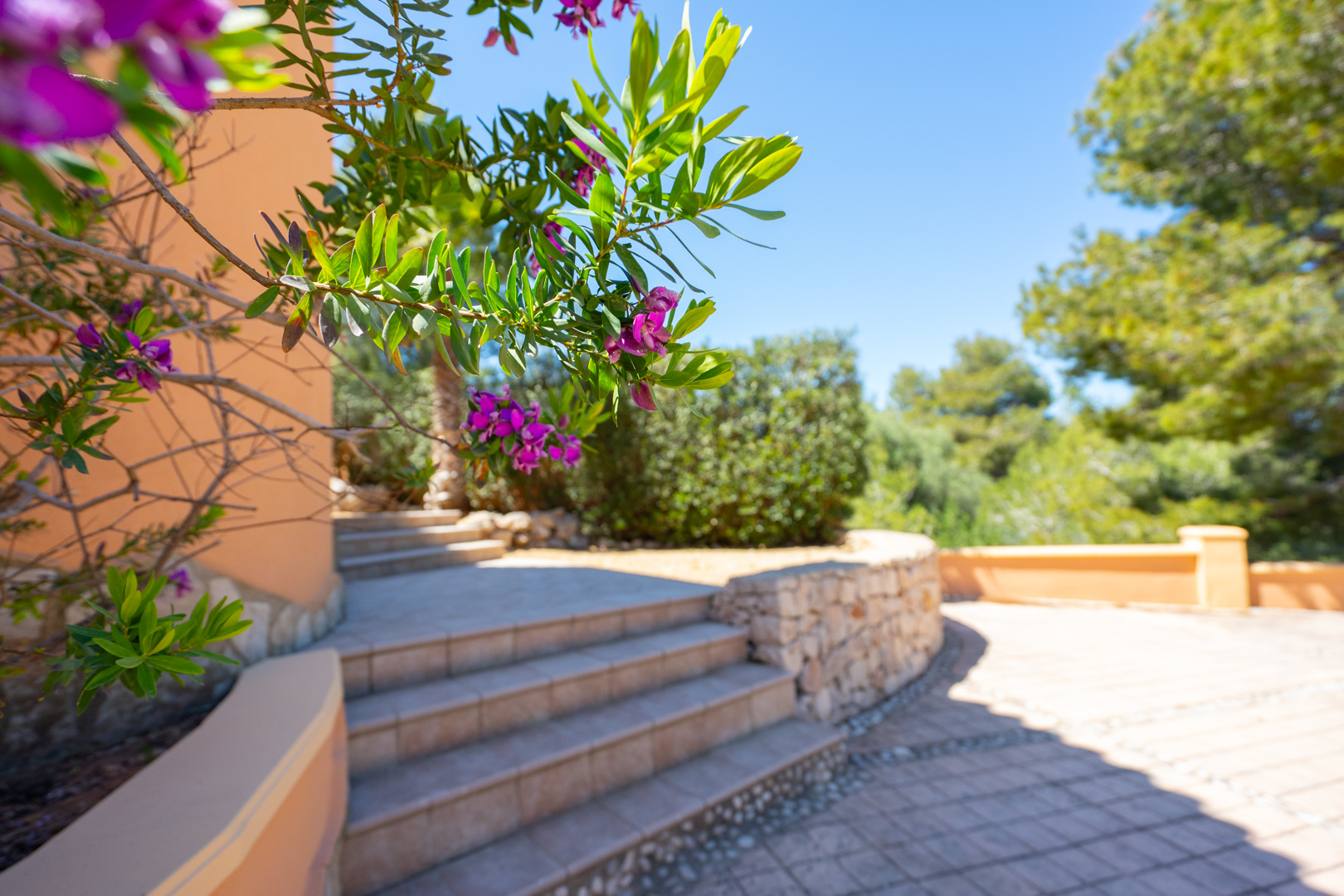 Außenliegende Fliesentreppen verbinden die Terrassenebenen, gesäumt von einer Natursteinmauer und mediterraner Bepflanzung mit Blick auf Pinienbäume.