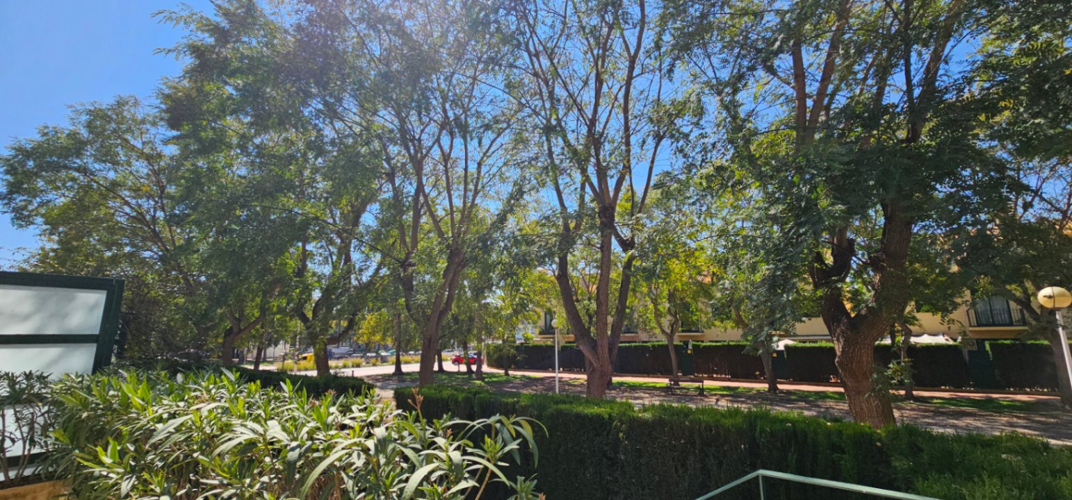 Blick von der Terrasse auf die bepflanzten Außenanlagen mit altem Baumbestand und gepflegten Hecken unter blauem Himmel.