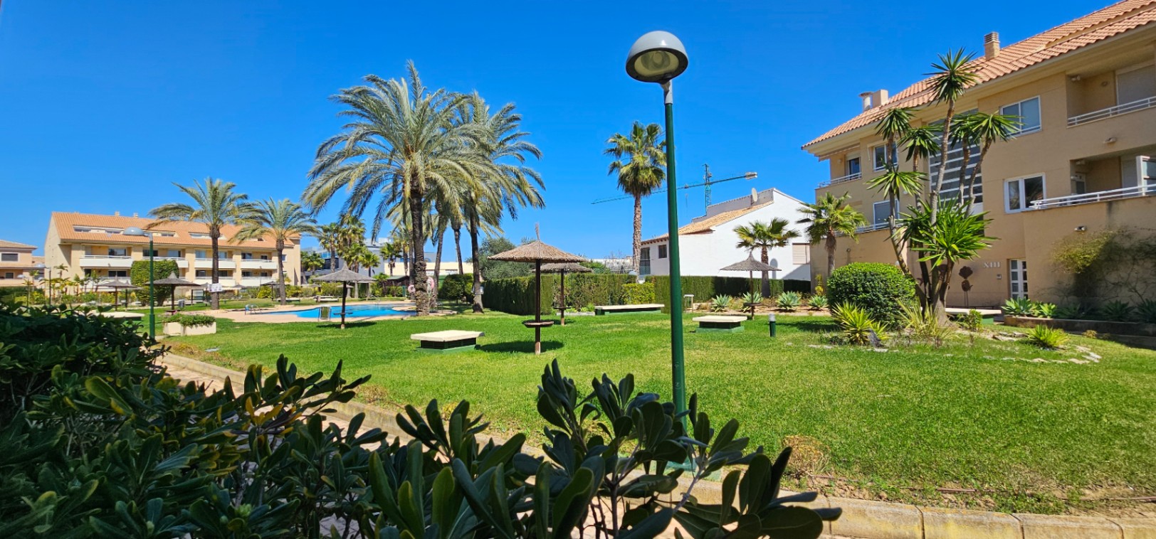 Gemeinschaftsgarten mit gepflegtem Rasen, hohen Palmen und Reet-Sonnenschirmen im Poolbereich der Anlage.