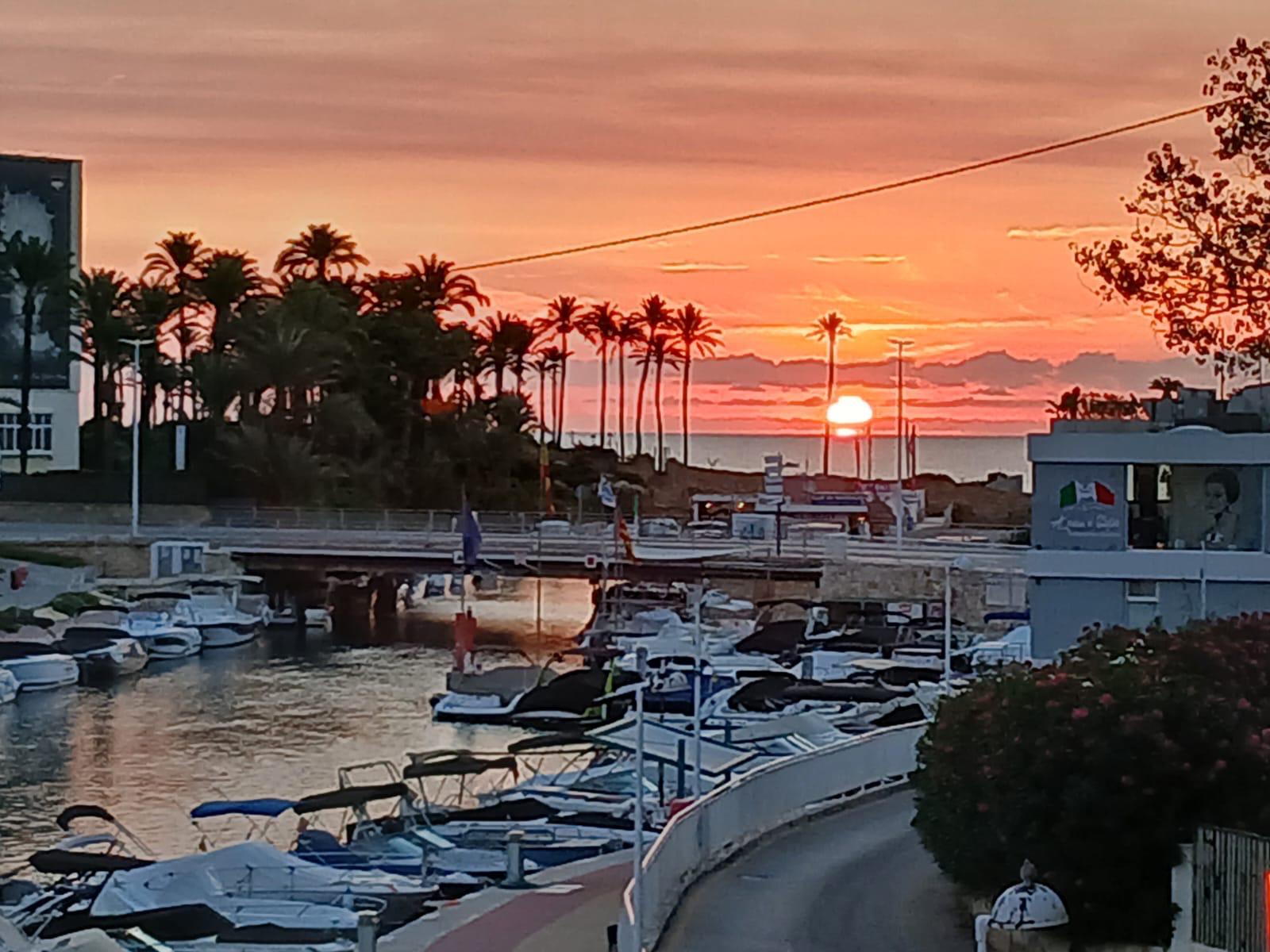Panoramablick auf den Jachthafen und den Kanal bei Sonnenuntergang, mit festgemachten Booten und Palmensilhouetten vor einem leuchtend orangefarbenen Himmel am Horizont.